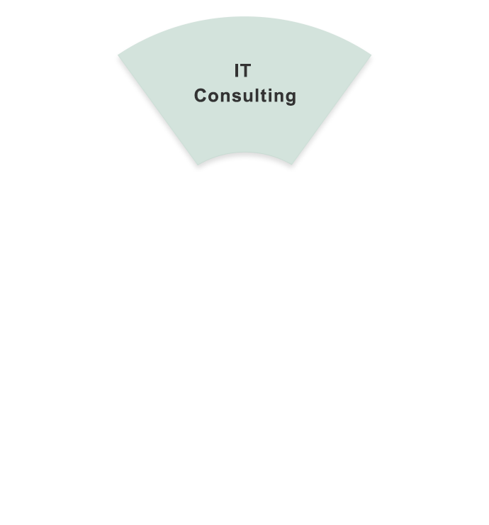 IT Consulting