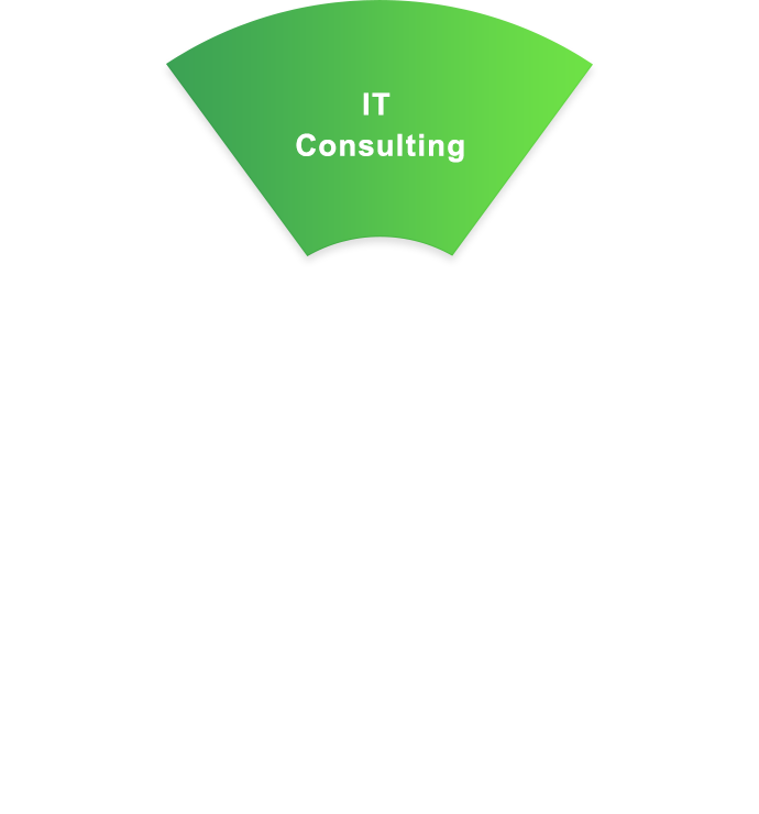 IT Consulting